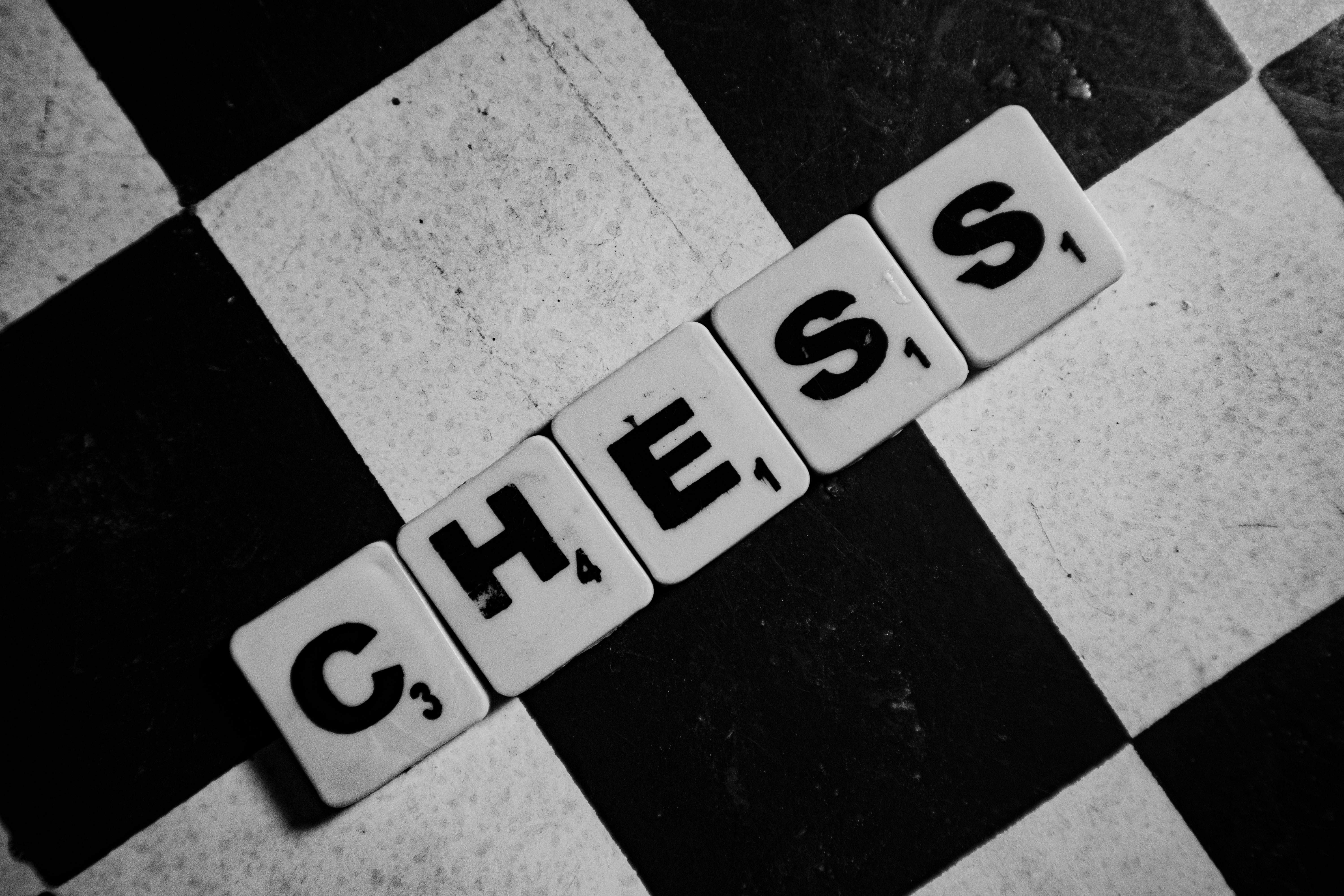 Rochester Chess Club logo
